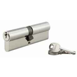 THIRARD - Cylindre à Clé Crantée 50 X 50 Mm Nickelé 3 Clés