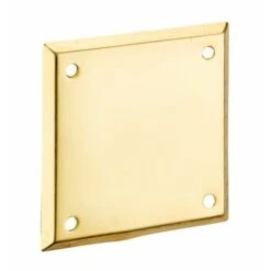 THIRARD - Plaque De Propreté Pour Porte D'entrée, 60x60mm, Laiton