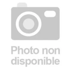 Têtière Plate Longue Type 691