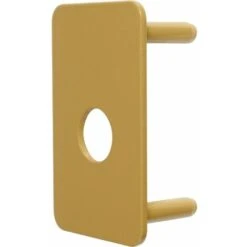 Contre Plaque De Sécurité Pour V136 - Vachette