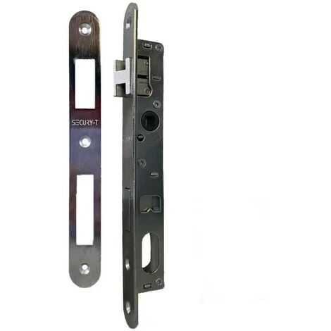 Serrure De Portail à Larder à Cylindre Oblongue Axe à 15 Mm + Gâche 1 Serrure De Portail à Larder à Cylindre Oblongue Axe à 15 Mm + Gâche