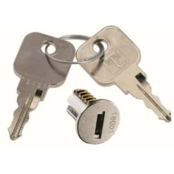 Barillet De Remplacement Pour Serrures LEHMANN Avec 2 Clés Métalliques Profil B1 Insert Cylindre Porte Boîte Aux Lettres Meuble Noyau Verrou Fermeture Sécurité, Série 18001 - 18100