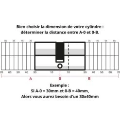 THIRARD - Lot Verrou Double Entrée Capital Cylindre 45mm + Cylindre HG 30x30mm, 6 Clés -Optimal Serrures Magasin 8904715 3